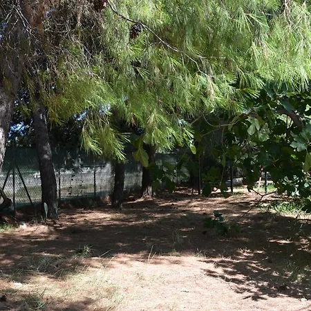 Holiday home Canto Delle Rane