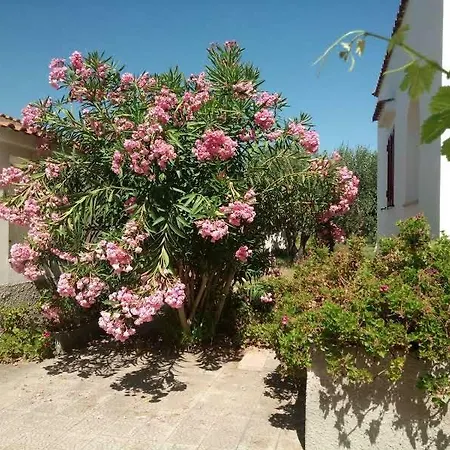 Canto Delle Rane * Vieste
